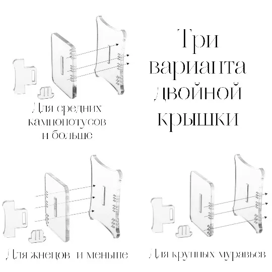 Нейрон Арена+ "Листопад"