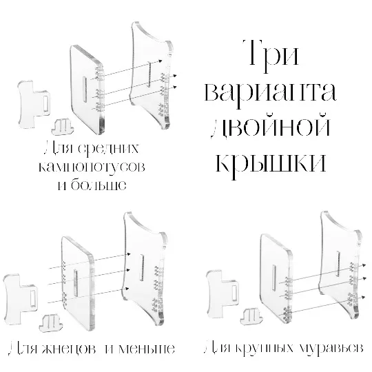 Нейрон Арена+ "Нейронная сеть"