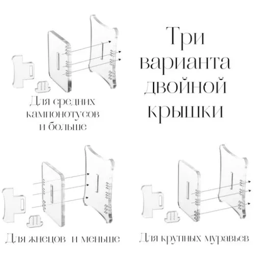 Стартовый набор Лайт «Тёмный лист»