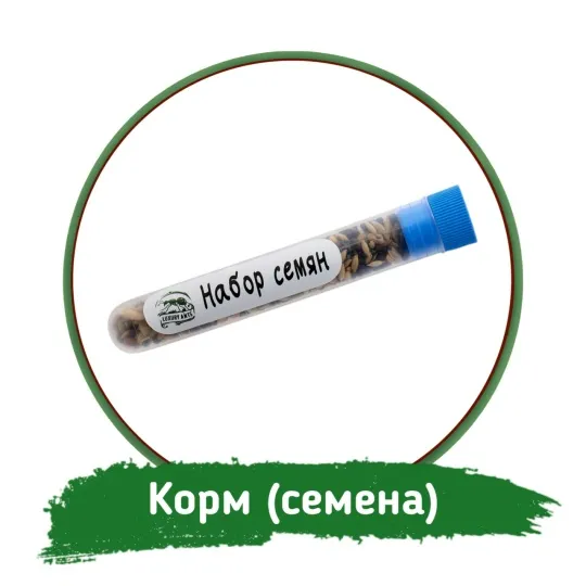 Набор семян для рода Messor (жнецы)